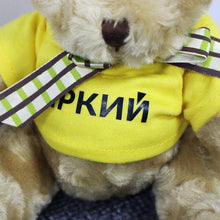 Load image into Gallery viewer, 16cm Teddy Bear Plush Toy With T-Shirt And Checkered Ribbon