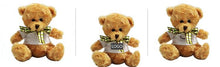 Load image into Gallery viewer, 16cm Teddy Bear Plush Toy With T-Shirt And Checkered Ribbon