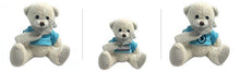 Load image into Gallery viewer, 16cm Teddy Bear Plush Toy With Knitted Scarf